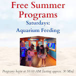 Aquarium Feeding — Ocean City Life-Saving Station Museum