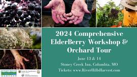 2024 Comprehensive Elderberry Workshop