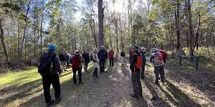 HAPPY HIKERS TOOWOOMBA - Ravensbourne with a local