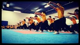 Kickstart your summer with Shaolin Kung Fu and Qi Gong MARKHAM