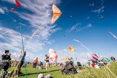 Puketāpapa Manu Aute Kite Day 2024