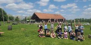 August Beer Yoga at Other Half Brewery