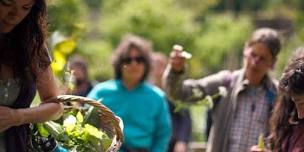 Forage for Food & Medicine Day