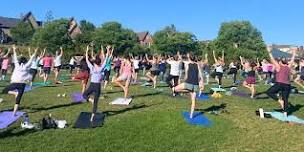 Yoga in the Park