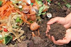 Compost and Worm Farm Workshop