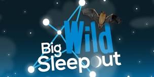 Big Wild SleepOut at RSPB Flatford Wildlife Garden