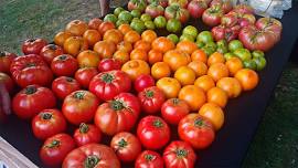 Milford Farmers Market