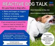 Reactive Dog Talk - Bideford