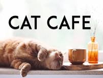 Cat Café 