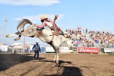 Last Chance Stampede Rodeo