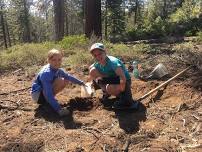 High Meadow Trailhead Planting