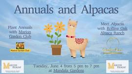 Annuals and Alpacas