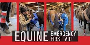 Equine Emergency First Aid