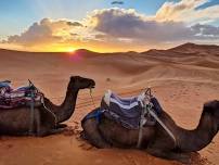 LONG WEEKEND Sahara Desert - sunset camel trek, camping under the stars, Morocco