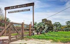 Farm Visit and Hike With Wild Farmlands at Restoration Oaks Ranch!