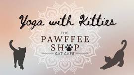 YOGA With Kitties!