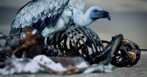 Sky Burial : Mat Collishaw Screening and Talk