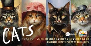 CATS The Musical