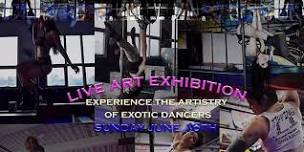 Immersive Experience Exotic Dancer Environment Art Exhibition