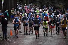 Grasshopper Peak Redwoods Run