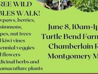 Perennial Plant Sale & Free Wild Edibles Walk