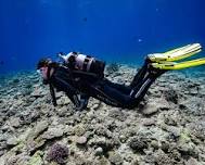 Deep diver course ( 2spots left )