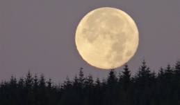 Full moon women's circle - Beaver Super Moon