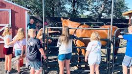 Roots Farm Camp