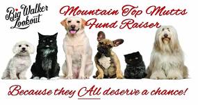 Mountain Top Mutts fundraiser for Lost Fantasy Rescue