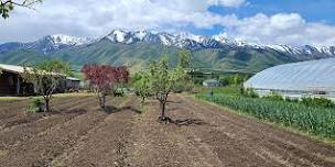 An evening with The Pour at Steep Mountain Farm