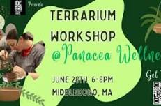 Terrarium Workshop @ Panacea Wellness