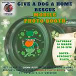 Give a Dog a Home Rescue MOBILE PHOTO SHOOT - St. Patrick's Theme