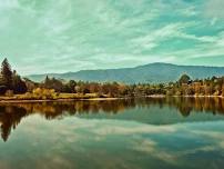 Walk at Almaden Lake (1 hour, paved path)