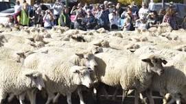 Cedar Livestock and Heritage Festival