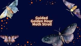 Guided Golden Hour Moth Stroll