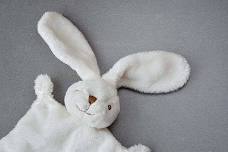 Read to your Bunny Storytime at Leominster Library