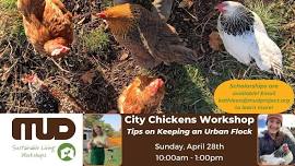 City Chickens Workshop - Tips on Keeping an Urban Flock