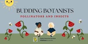 Budding Botanists - June