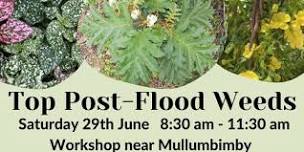 Top Post-Flood Weeds Workshop