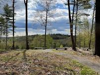 Volunteer Day - Shrub Planting at Baldwin Hill