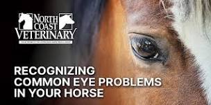 FREE Dinner/Education Event: Recognizing Common Eye Problems in Your Horse