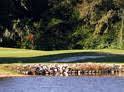 Louisiana Senior Four-Ball Championship