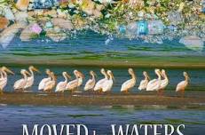 Moved by Waters: Movie Screening & Reception