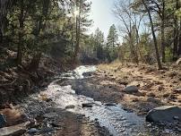 Middle Fork of Taylor Creek - Kolob Canyon, UT