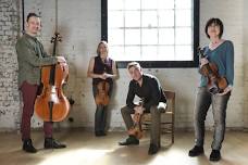 Phoenix Collective String Quartet