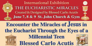 Encounter the Miracles of Jesus in the Eucharist Through the Eyes of a Millennial Teen