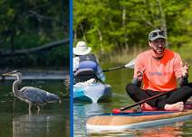 Eco-Tour of Back Creek