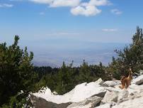 Hike to Thunder Mountain Peak - Cucamonga Wilderness