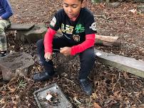 Bushcrafting for Kids - Navigating with Nature