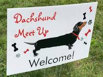 The Fairfax County, VA Dachshund Meetup Group Monthly Meetup